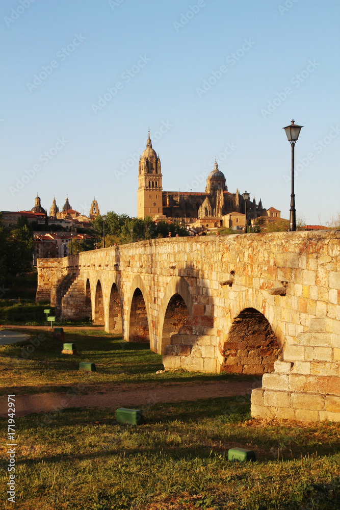 The Roman bridge of Salamanca, Spain 