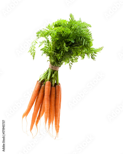 Bunch  of new carrots isolated on white