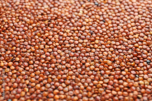 Red quinoa grains, closeup