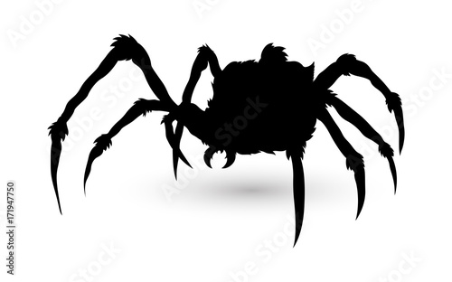 Spider Silhouette