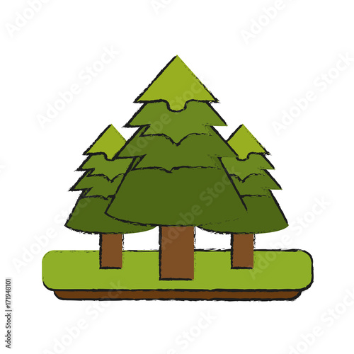 pine tree forest icon image vector illustration design