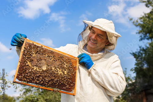 beekeeper with honeycomb in the apiary