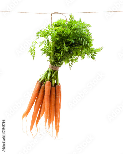 Hanging  bunch of new carrots isolated on white