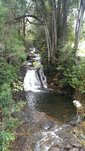 Hawaii waterfall into pond