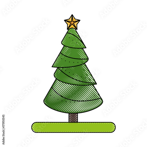 pine tree forest icon image vector illustration design