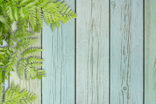 Green Leaves On Wooden With Spaces For Text  Nature Border