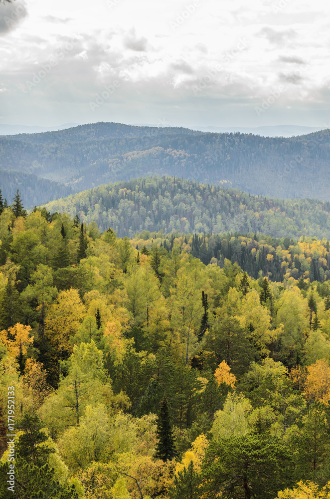 View of autumn golden forest, mountains and rocks