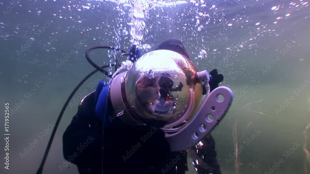 Cat scuba diver on background of reflection sunlight underwater. First and only in world pet animal in aqualung explores wild marine nature. Amazing unique beautiful video. Relax.