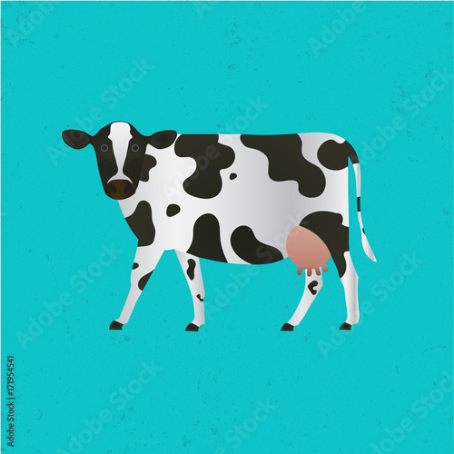 Black andwhite cow