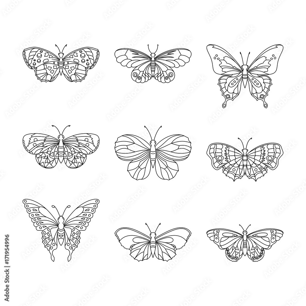 Naklejka Set of butterfly, black outline, vector illustration.
