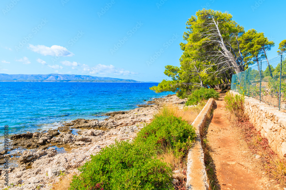 Coastal path along sea and vineyards near Zlatni Rat at Bol on Brac island in summertime, Croatia