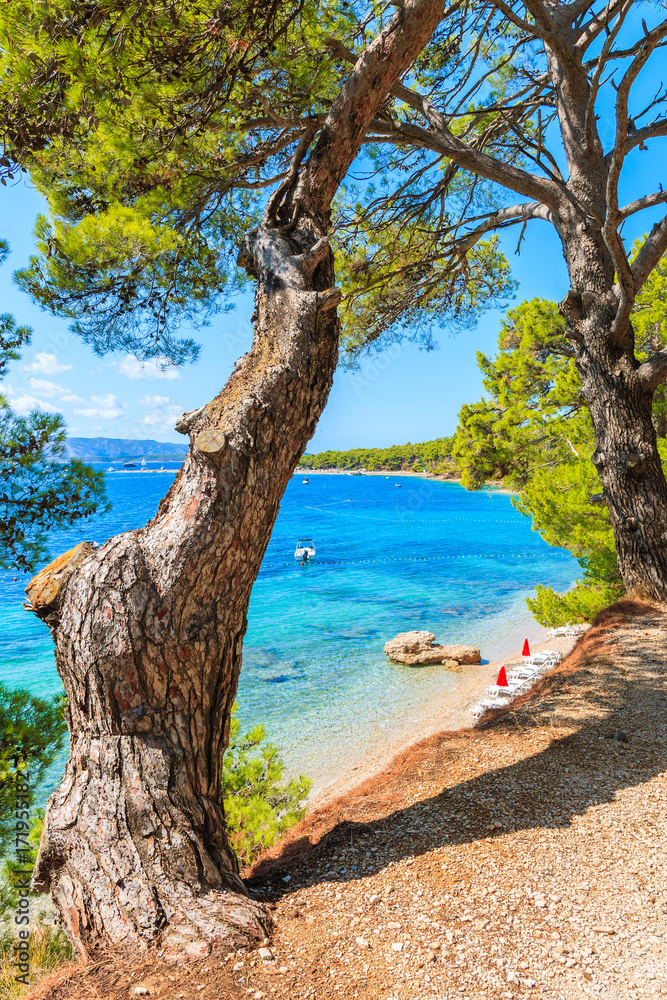 View of beautiful beach near Zlatni Rat at Bol on Brac island in summertime, Croatia View of beautiful beach near Zlatni Rat at Bol on Brac island in summertime, Croatia