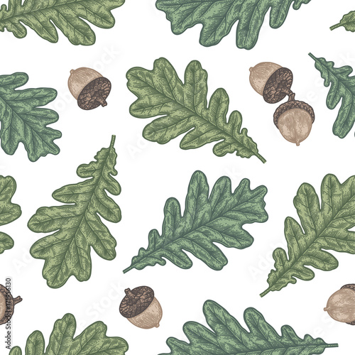 Engraving seamless pattern of Oak Leaf and Acorn.