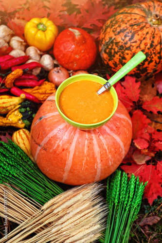 Autumn seasonal pumpkin soup