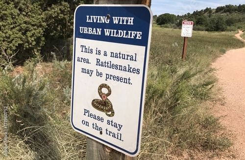Urban Wildlife