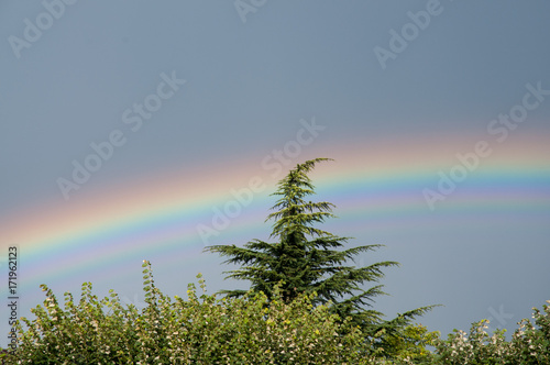 regenbogen photo