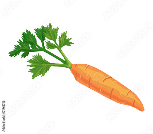 Carrot vector icon isolated, hand drawn sketch of vitamin vegetable, template for menu, healhty diet infographics, sticker, flyer, print