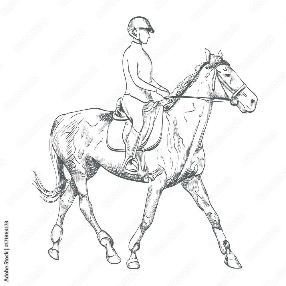hand drawn horse riding vector illustration on equestrian sports theme