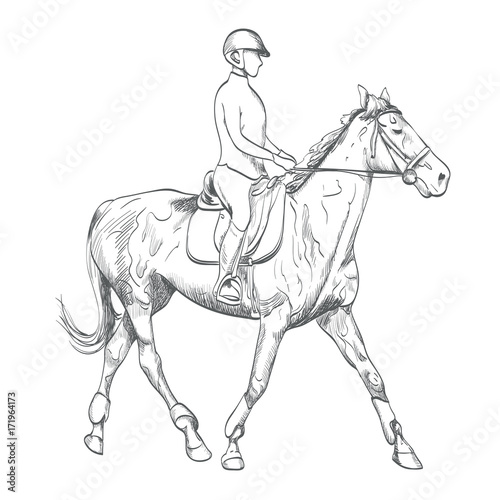 Fototapeta Naklejka Na Ścianę i Meble -  hand drawn horse riding vector illustration on equestrian sports theme. sketch drawing of young woman rider on white