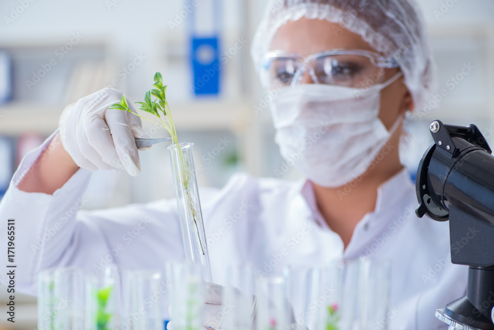 Female scientist researcher conducting an experiment in a labora Female scientist researcher conducting an experiment in a labora