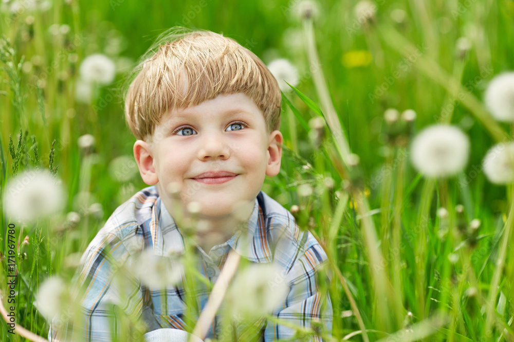 Young blond boy sitting on a meadow with dandelions Young blond boy sitting on a meadow with dandelions