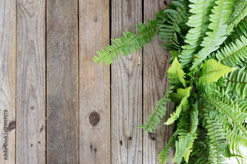 wood table and fern leaf  for background