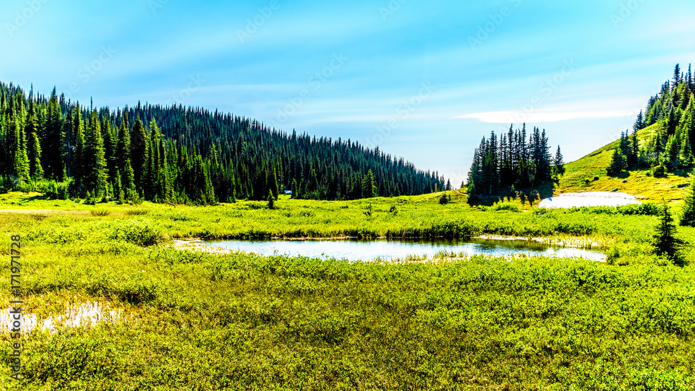 Fototapeta premium Small lake in the high alpine near the village of Sun Peaks in the Shuswap Highlands in central British Columbia Canada