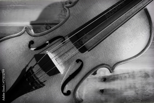 Violin close-up in black and white.