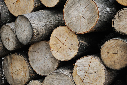 Fototapeta Naklejka Na Ścianę i Meble -  Background, texture - wooden blocks close-up. Sawn timber, wooden, logs