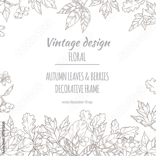 Autumnal decorative floral plant botany elements. Vector hand drawn illustration on light background for design greeting card or Invitation.