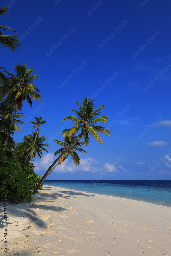 Beach of tropical island