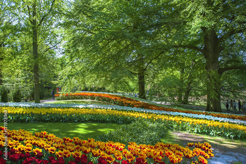 parc florale de Keukenhof Pays Bas