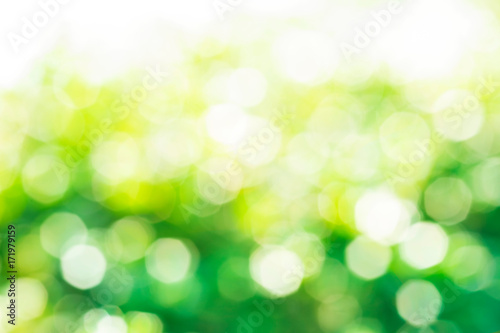 Blur of abstract green bokeh from tree/garden background.For create natural concept