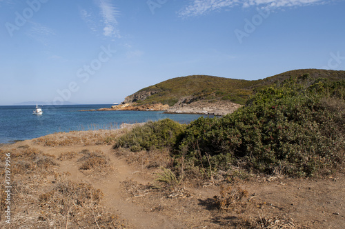 Corsica  28 08 2017  vista della spiaggia di Santa Maria  una delle pi   famose e selvagge del Capo Corso  circondata dalla macchia mediterranea