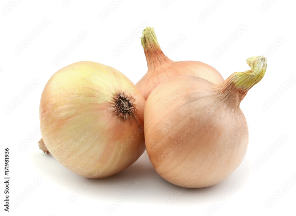 Fototapeta premium Onions isolated on a white
