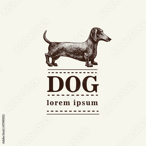 Silhouette of a dog. Vector illustration of dachshund. Hand drawn retro illustration.