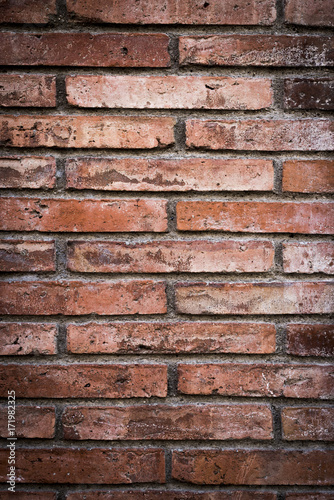 Brick wall background ( wall texture )