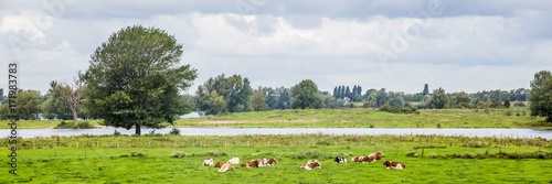 Canvas Print Dutch river landscape