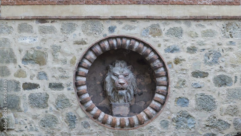 Detail of a Stone decoration, representation of a lion