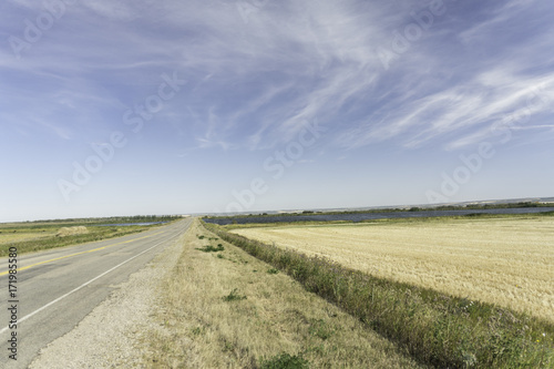 Rural Landscape Road 