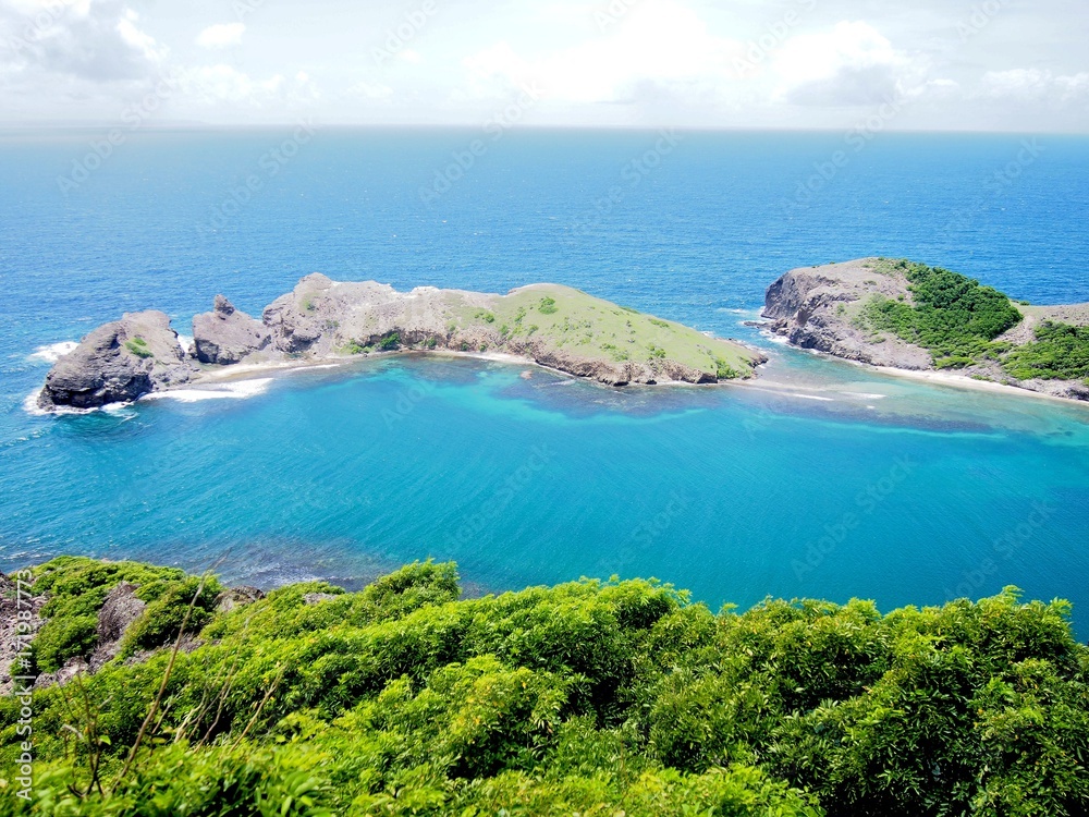 Obraz premium OLYMPUS DIGITAL CAMERA