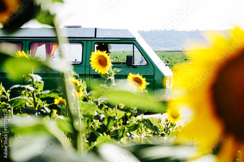 A camper van in a sunflower field