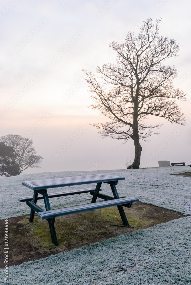 Bench in a park covered with frost