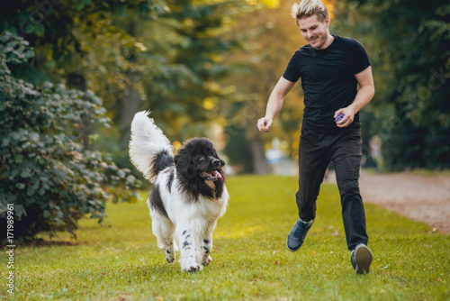 Newfoundland dog plays with man and woman in the park photo