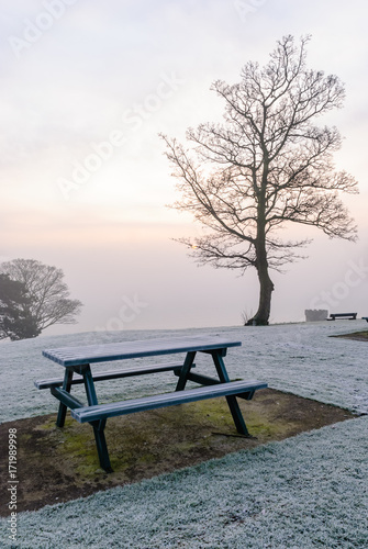 Bench in a park covered with frost