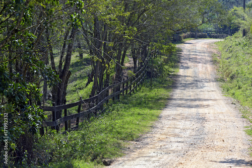 Wooden fence and trees flanking the dirt road