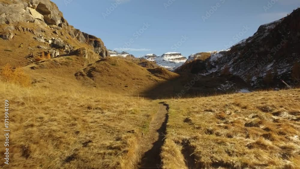 POV walking on fall field path to creek and snowy mounts.Sunny autumn day Hiking in colorful red forest wild nature mountain outdoors.Alps Devero.4k point of view establishing video POV walking on fall field path to creek and snowy mounts.Sunny autumn day Hiking in colorful red forest wild nature mountain outdoors.Alps Devero.4k point of view establishing video