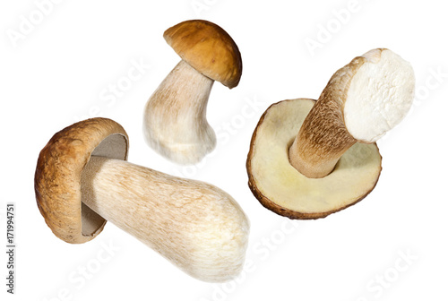 Three porcini mushrooms on white background
