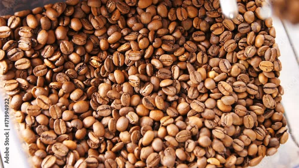 Macro Slow Motion Upper View Flow Focus Coffee Beans Fall down Macro Slow Motion Upper View Flow Focus Coffee Beans Fall down