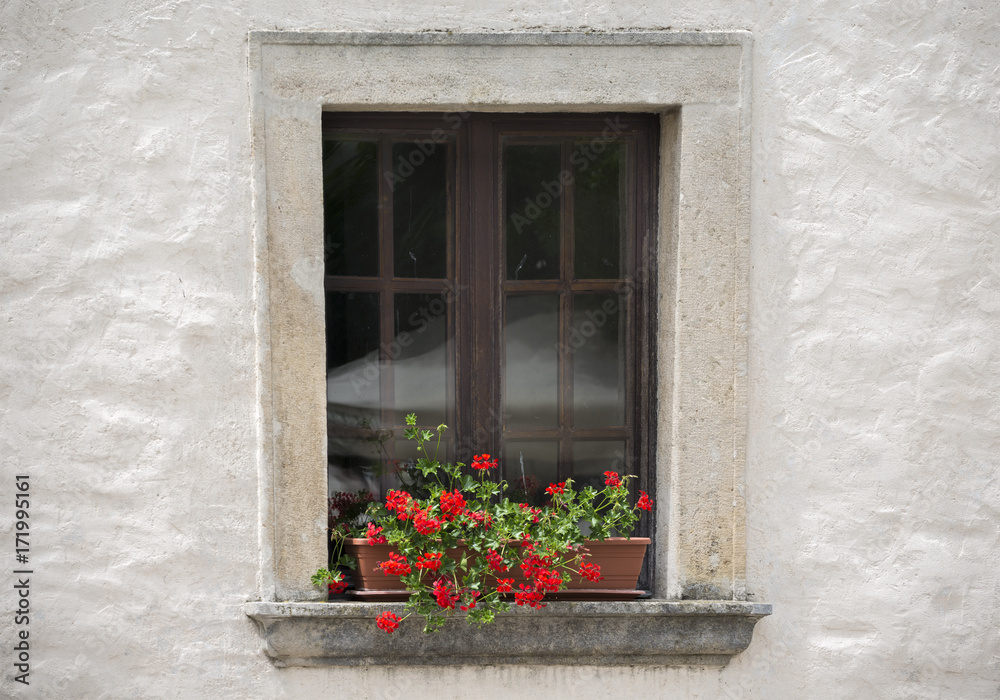 Old window with flower in the summer day